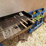 Sonja Vacation 度假居